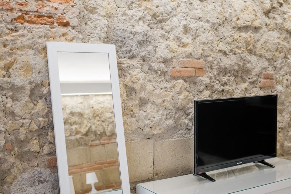 Television