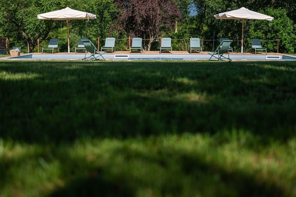 Outdoor Furniture, Garden, Shade, Lawn, Park, Meadow, Landscaping, Outdoor Table, Plantation, Evergreen