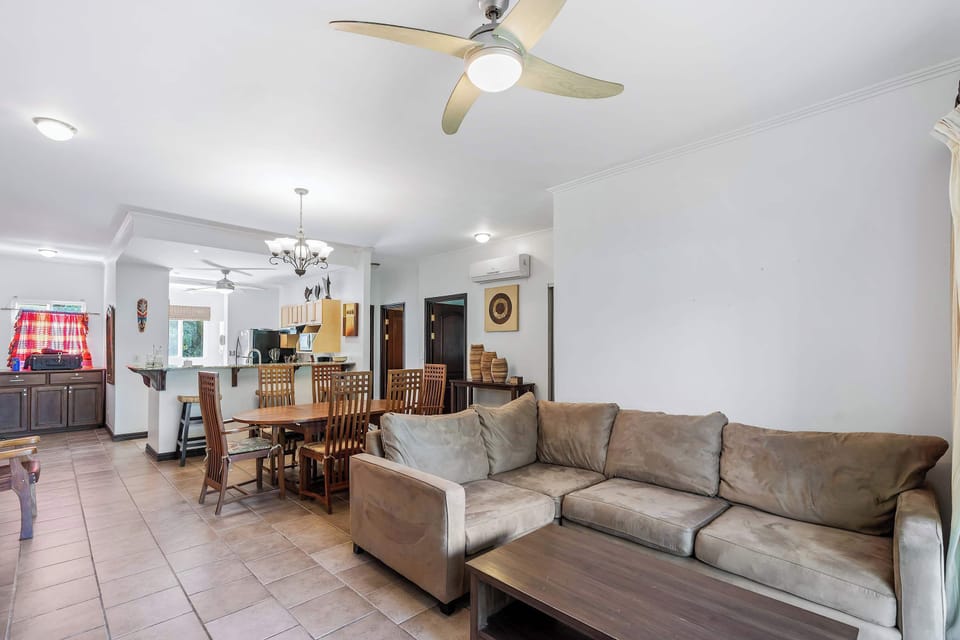 Living Room and Kitchen Area