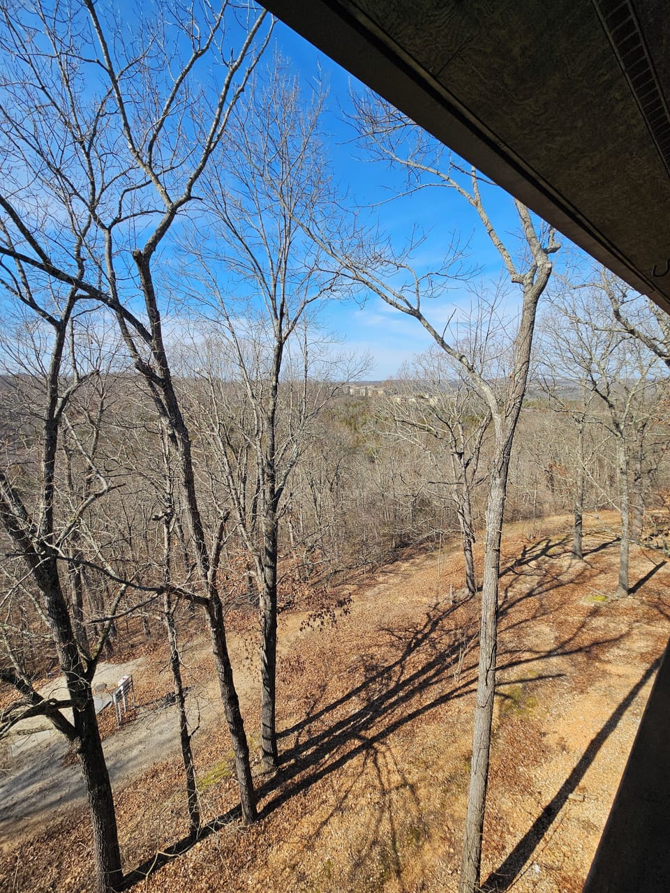 View from property