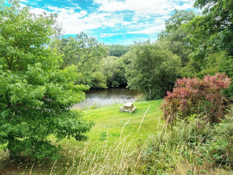 View of the river