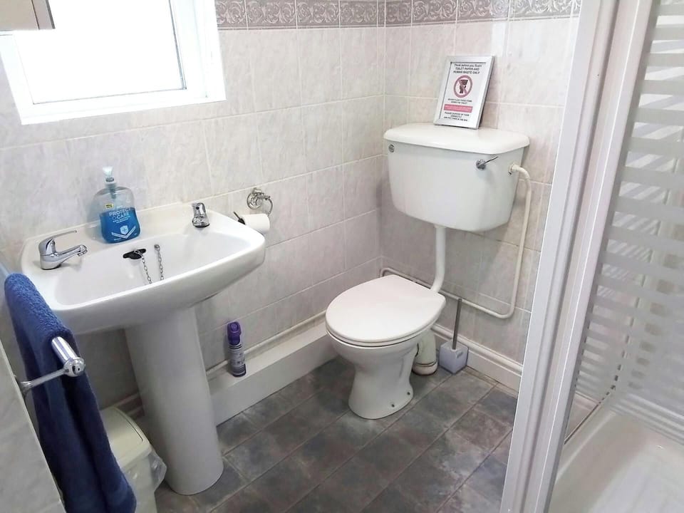 Hand basin, shower cubicle and WC