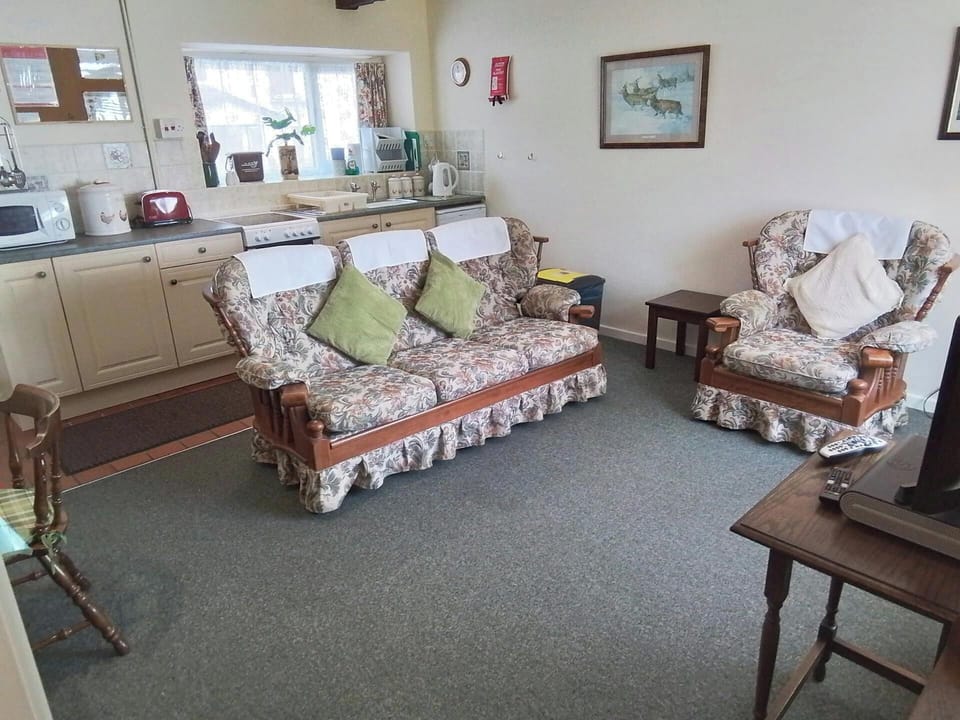 Lounge and kitchen area with sofa, armchair, tv, cooker, sink and microwave