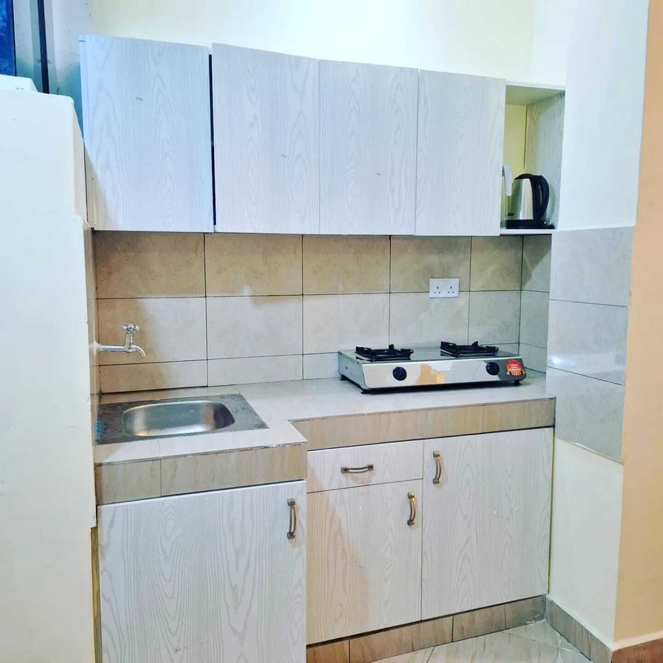 Classic Apartment, Balcony, City View | Private kitchen | Fridge, microwave, cookware/dishes/utensils