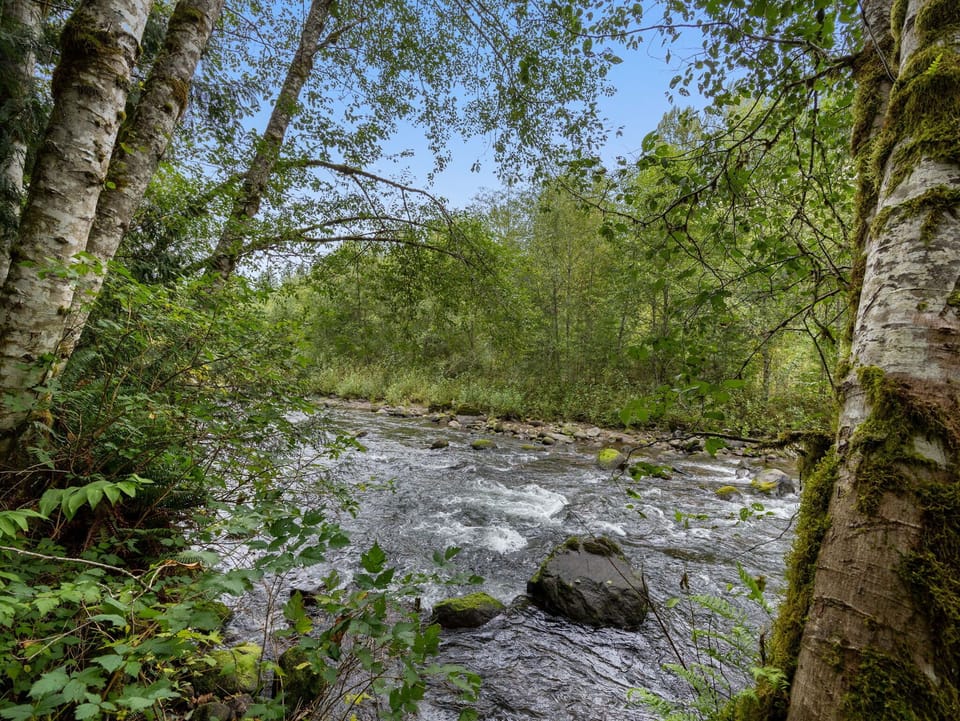 Escape to a riverside retreat! Enjoy the tranquility of the woodland and the soothing sounds of the flowing river.