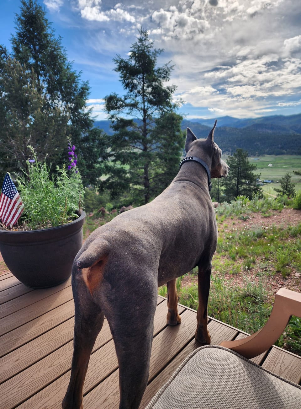 View from property