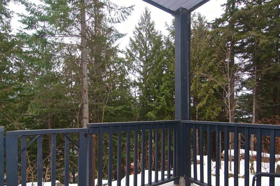 Quiet and peaceful back sundeck