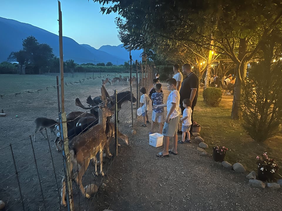 Children's activities