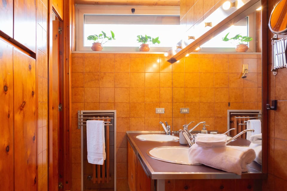 Shower, rainfall showerhead, hair dryer, bidet