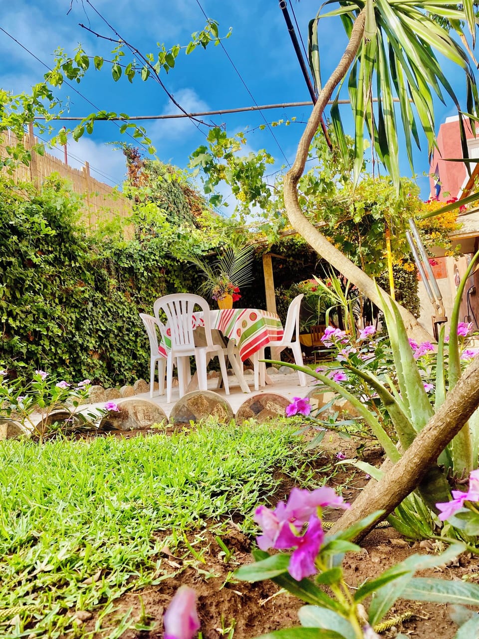 Family Apartment, Balcony, Beach View | Terrace/patio