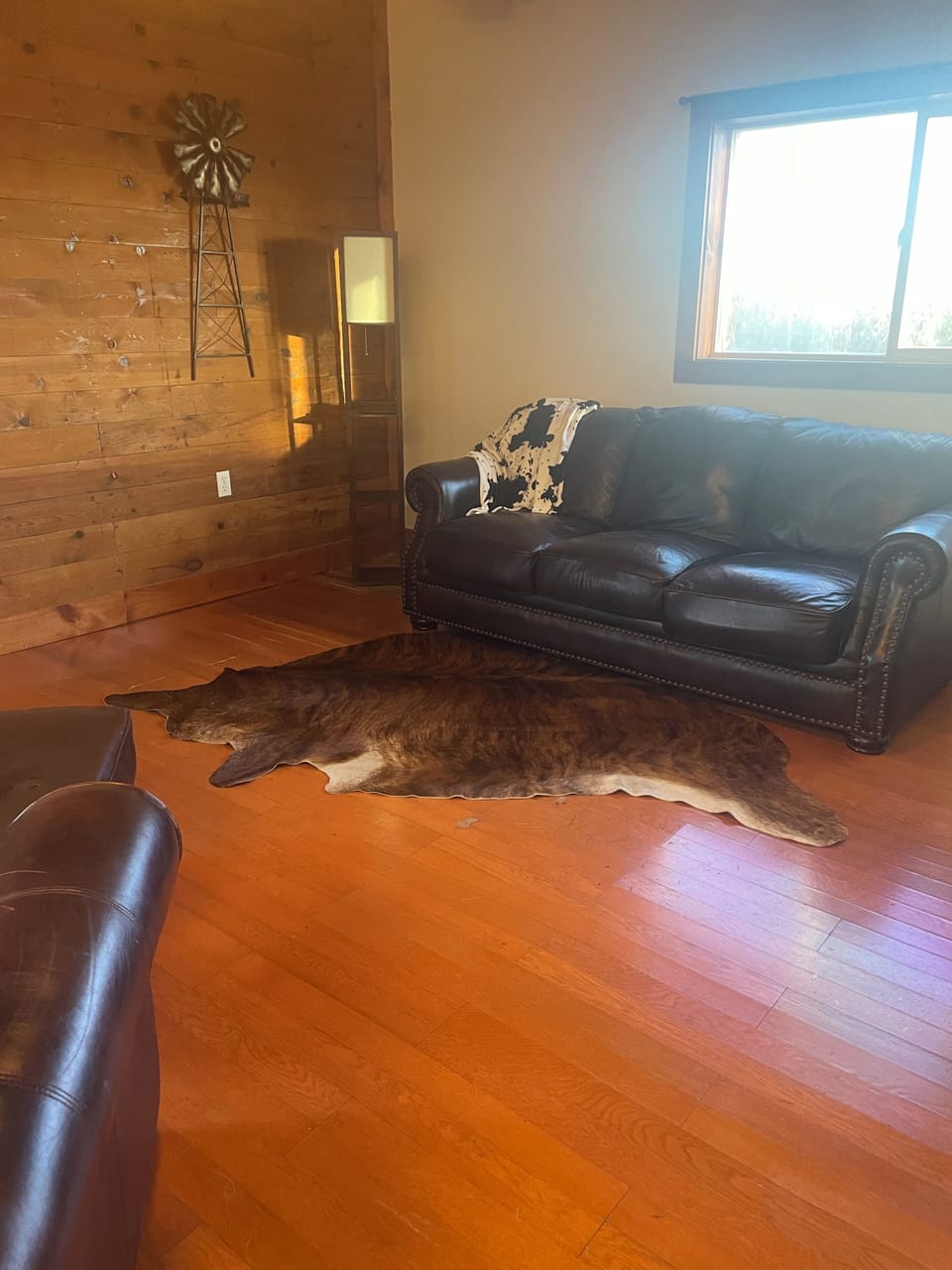 Cozy living space. Hid a bed couch becomes a queen sized bed too! 