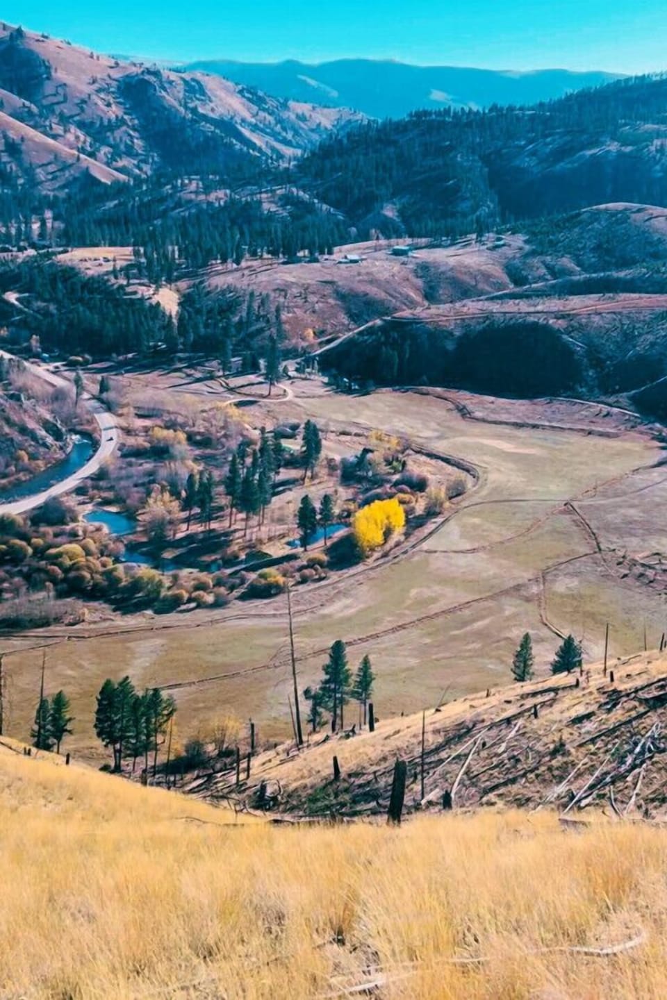 A bird`s-eye view of camp.