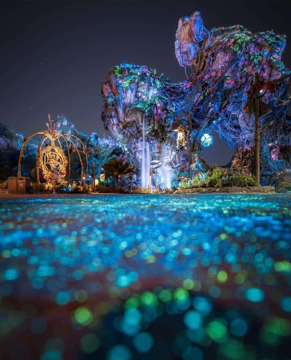 Enjoy a magical stay just 7 miles from Disney's Animal Kingdom!