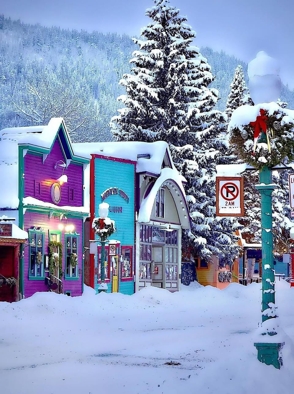Downtown Crested Butte - 5 minutes by bus from condo