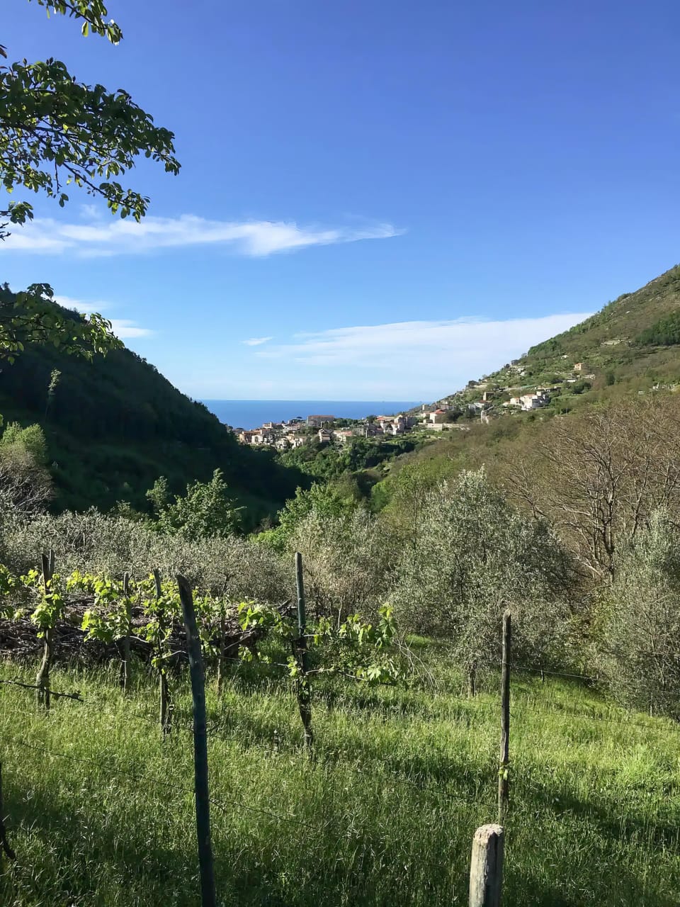 View from property