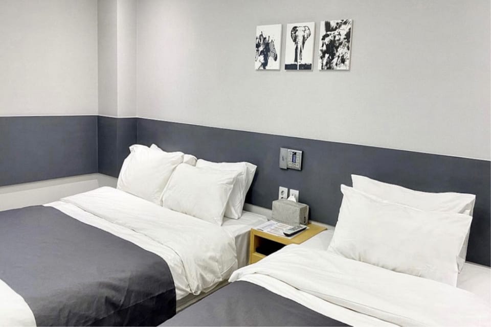 Blackout drapes, WiFi (free), bed sheets