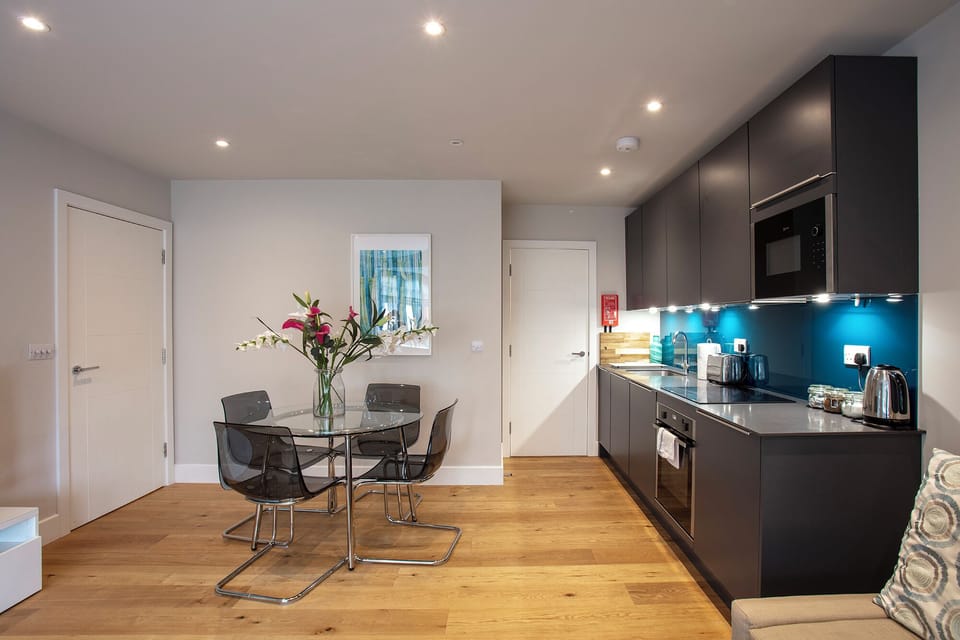 Deluxe Apartment | Private kitchen | Mini-fridge, microwave, oven, stovetop