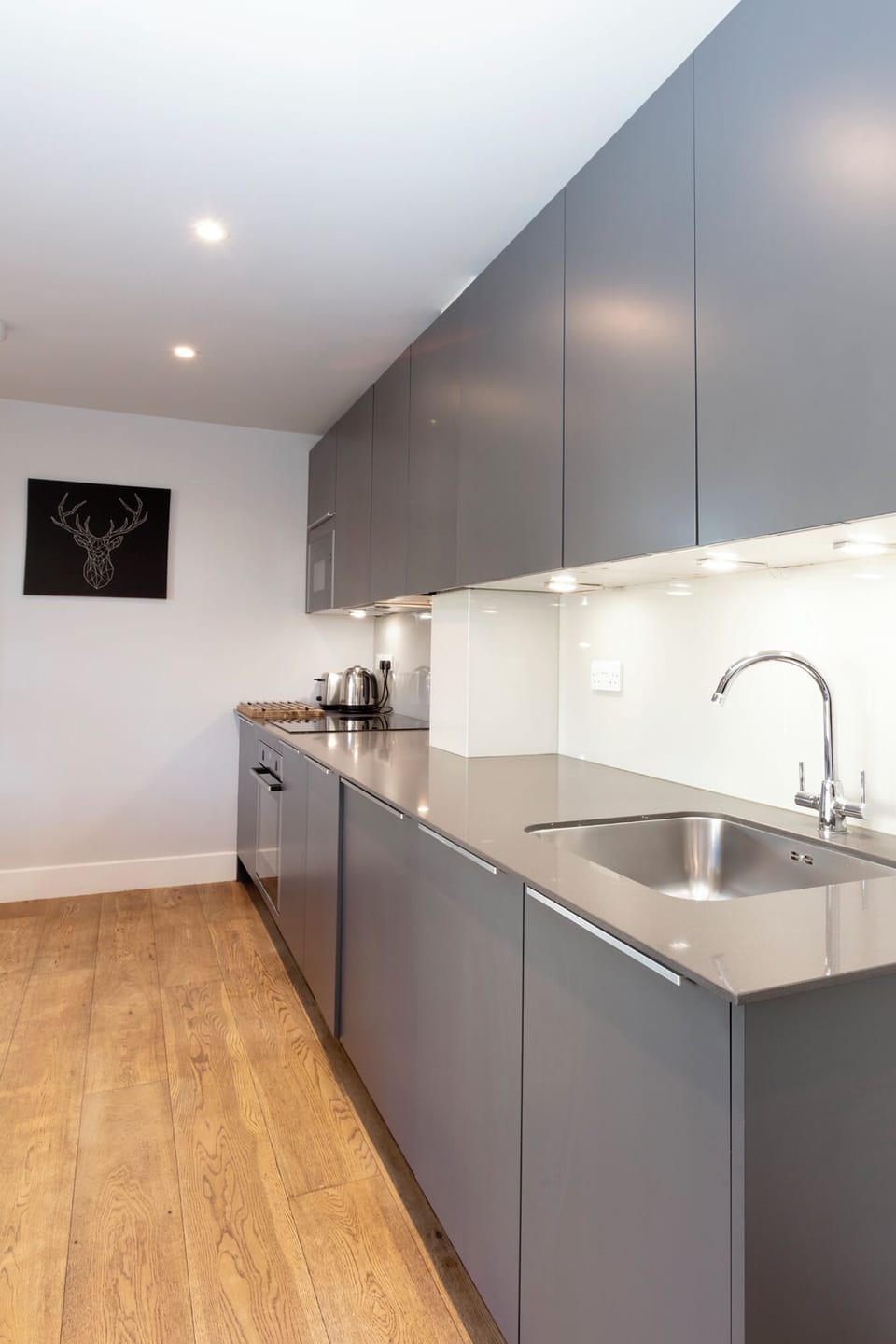 Deluxe Apartment | Private kitchen | Mini-fridge, microwave, oven, stovetop