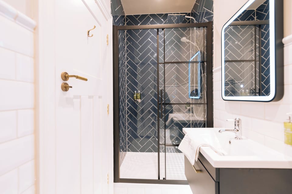 Deluxe Double or Twin Room | Bathroom | Hair dryer, soap, shampoo, toilet paper