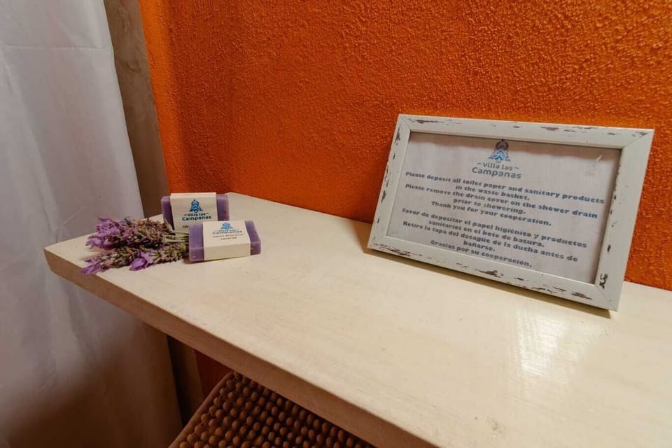 Double or Twin Room, Patio, Garden View | Bathroom | Shower, hair dryer, towels, soap