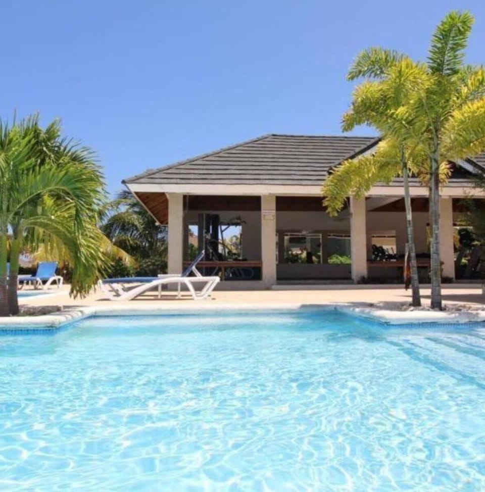 Sparkling resort-style pool surrounded by palm trees and loungers, perfect for soaking up the sun.