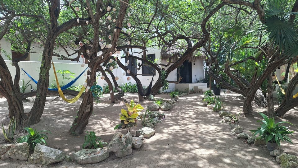 Table and hammocks in common space to relax