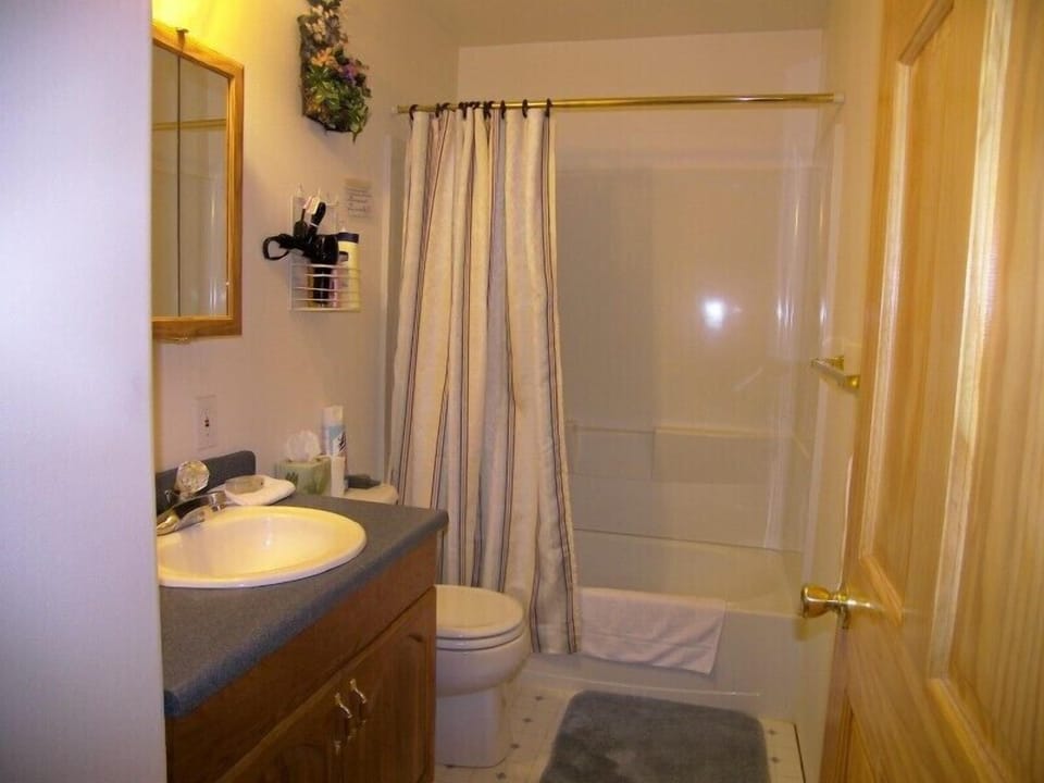 Free toiletries, hair dryer, towels