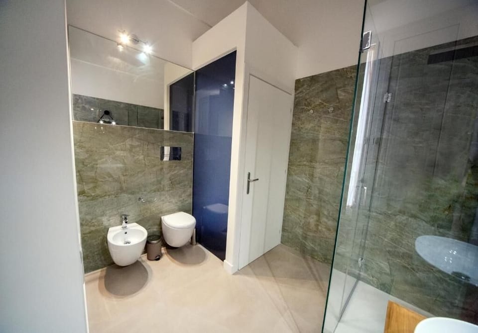 Shower, hair dryer, bidet, towels