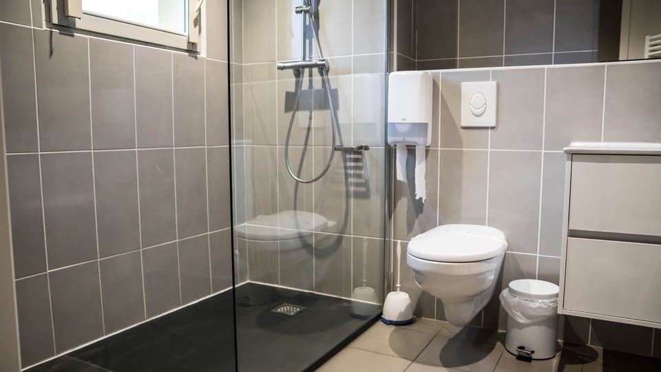 Deluxe Double Room | Bathroom | Free toiletries, hair dryer, bidet, towels