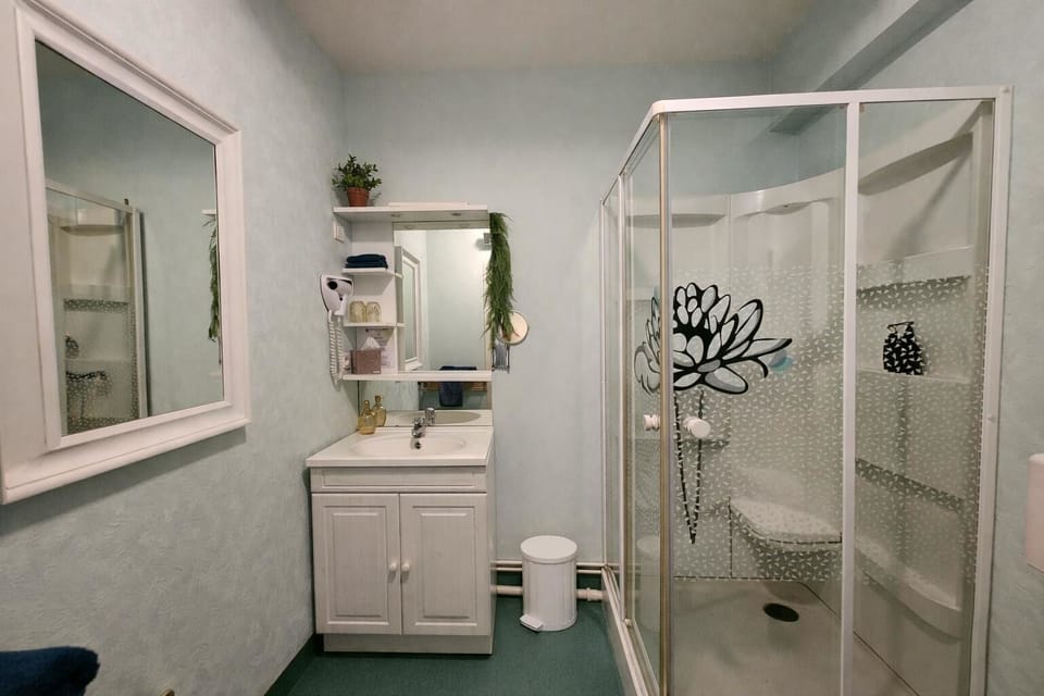 Shower, free toiletries, hair dryer, towels