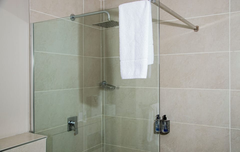 Hair dryer, towels, soap, shampoo