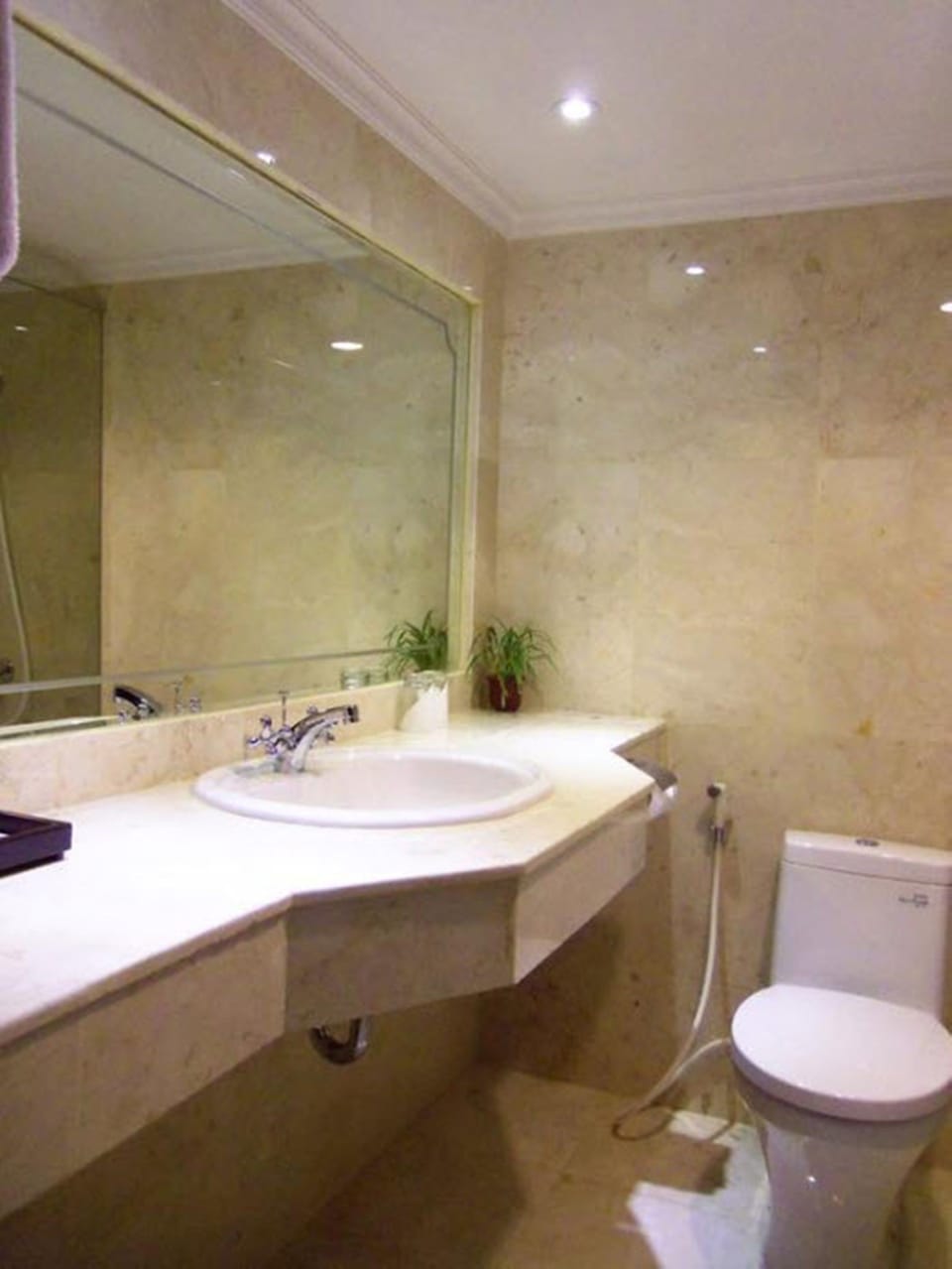 Shower, free toiletries, hair dryer, slippers