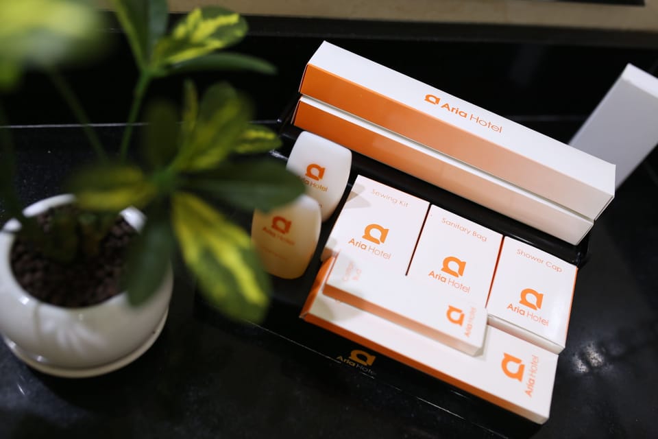 Deluxe Twin Room | Room amenity