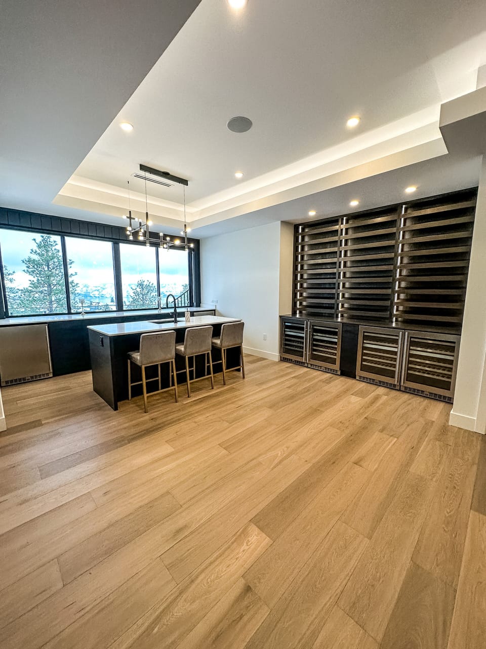 Lower level bar with wine and beverage storage 