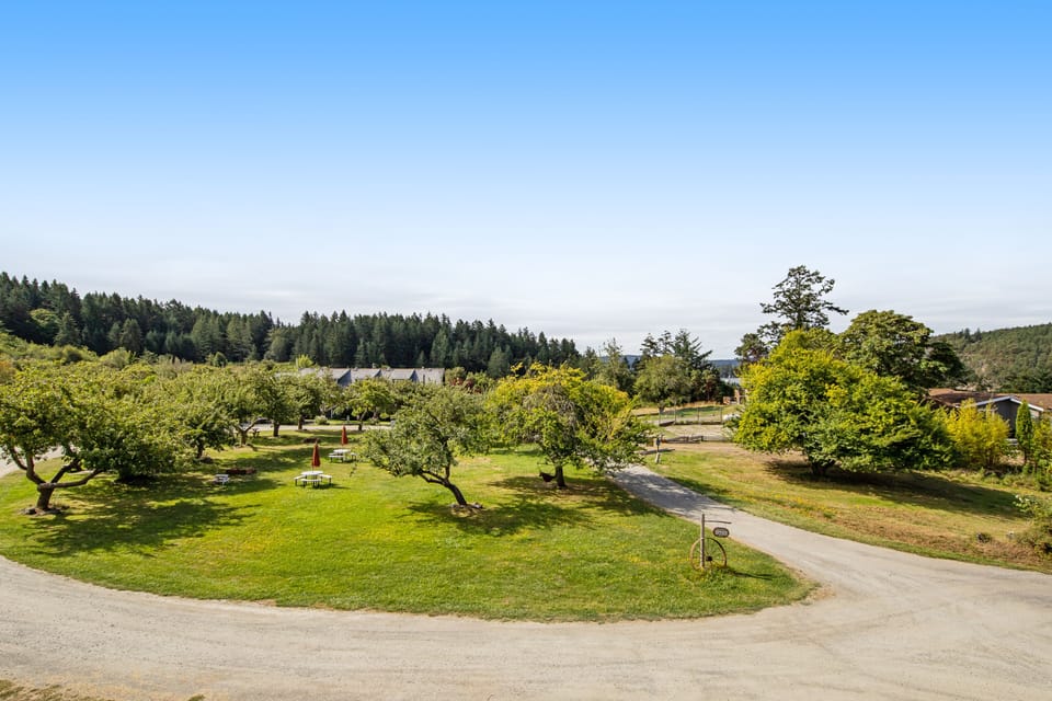 Room, 1 Bedroom, Fireplace, Marina View (Deer Harbor Inn #1) | Property grounds
