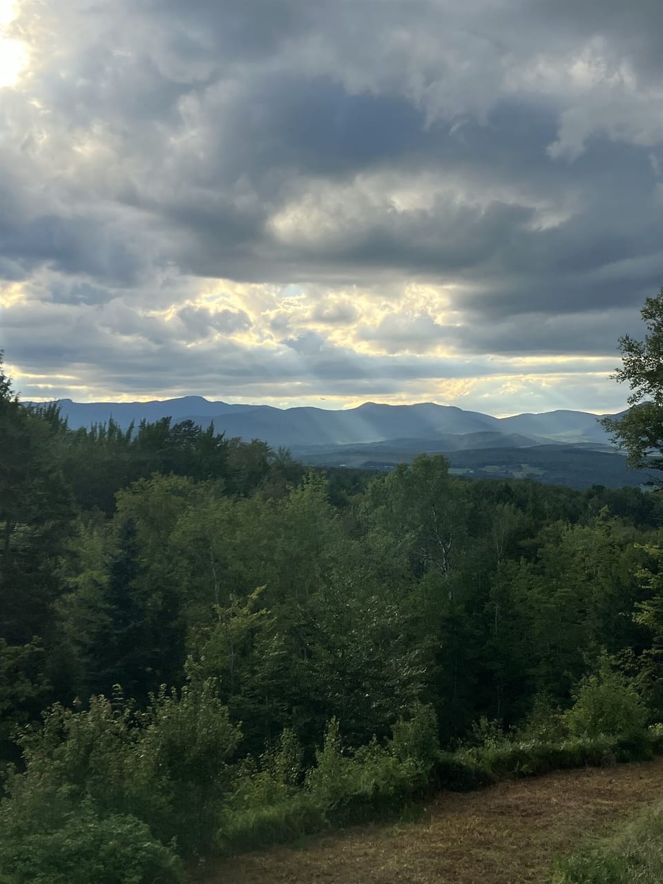View