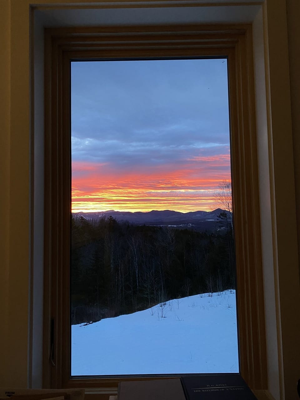 View from desk