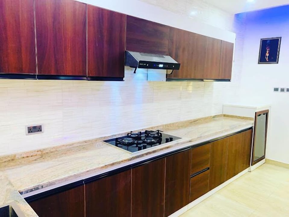 Economy Room, Balcony, City View | Private kitchen | Fridge, microwave, oven, stovetop
