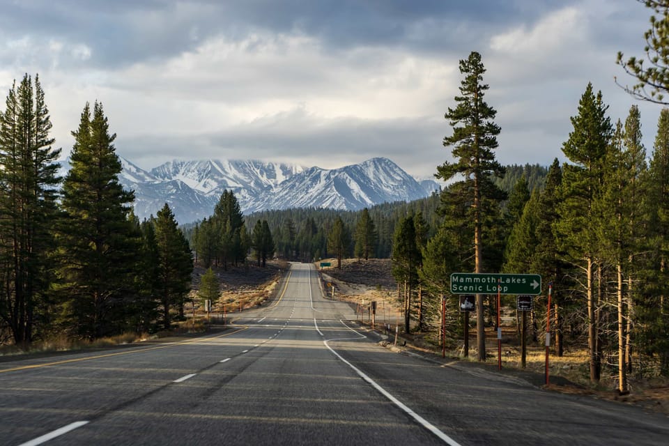 Mammoth