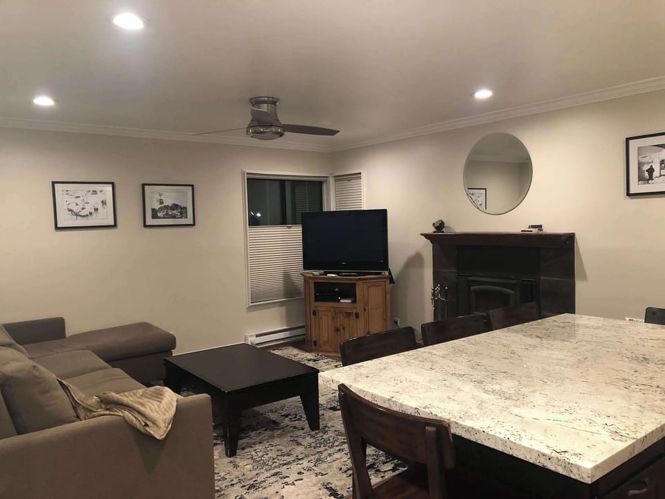 Living room with TV, sofa sleeper, and fireplace