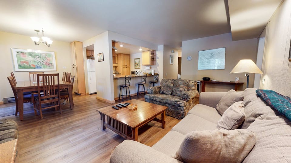 Living room with sofa sleeper, flat screen TV, DVD player