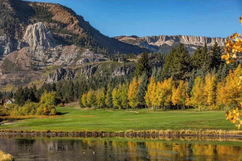 On golf course