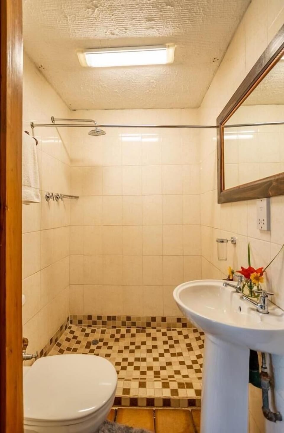 Basic Single Room | Bathroom | Shower, towels, soap, toilet paper