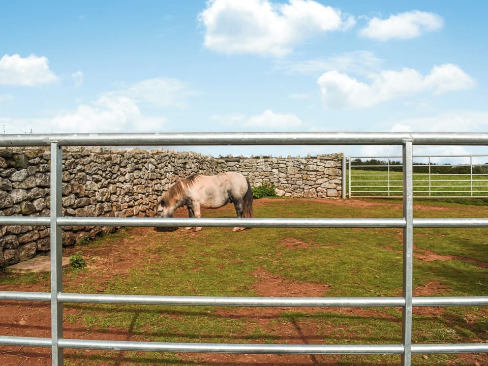 Surrounding area | The Lodge Pod, Barrow-in-Furness