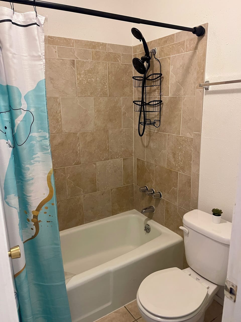Alternate view of master bathroom with shower head.