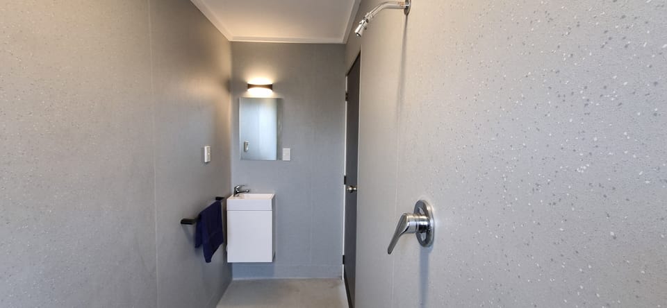Shower and sink