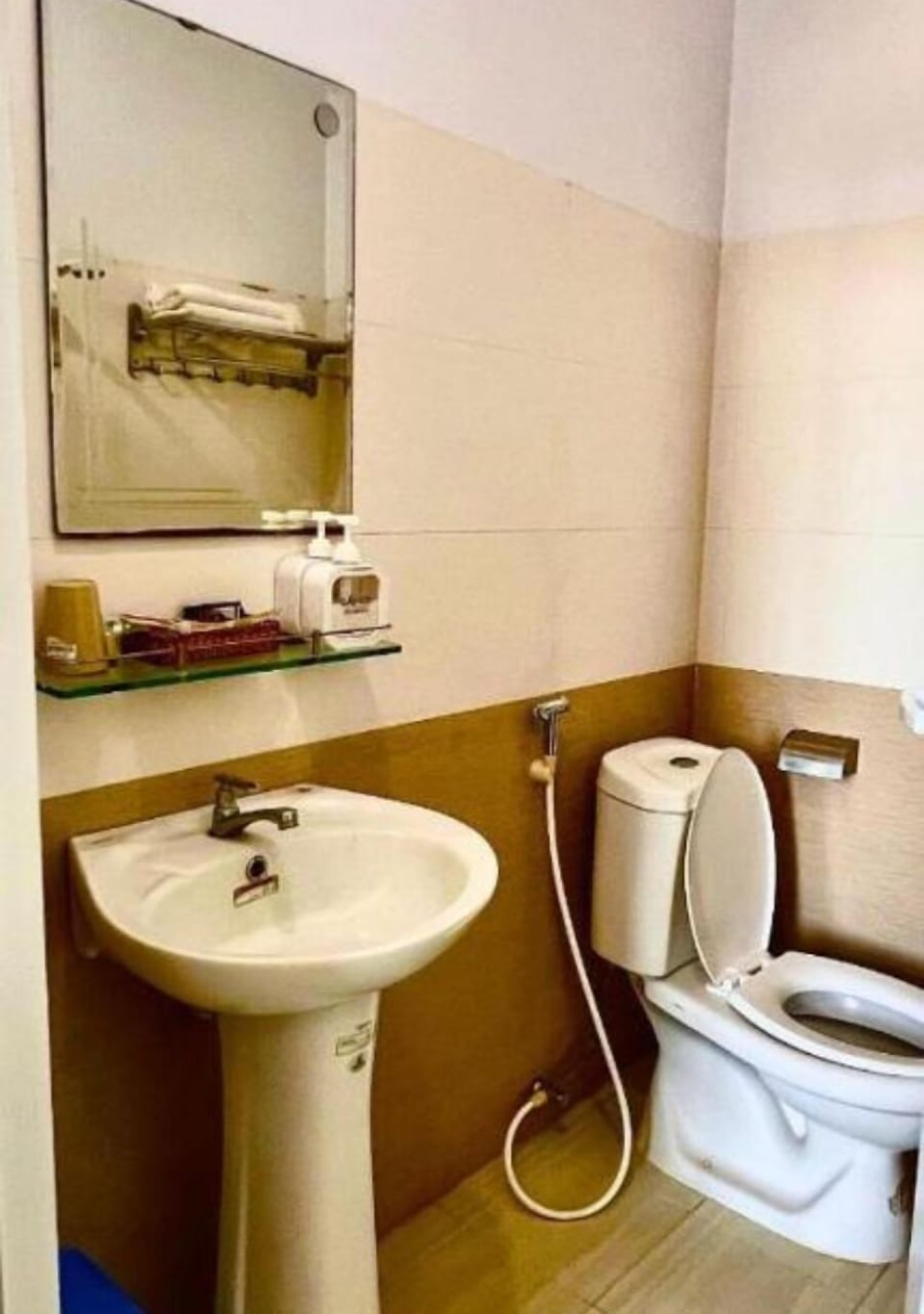Shower, hair dryer, slippers, bidet