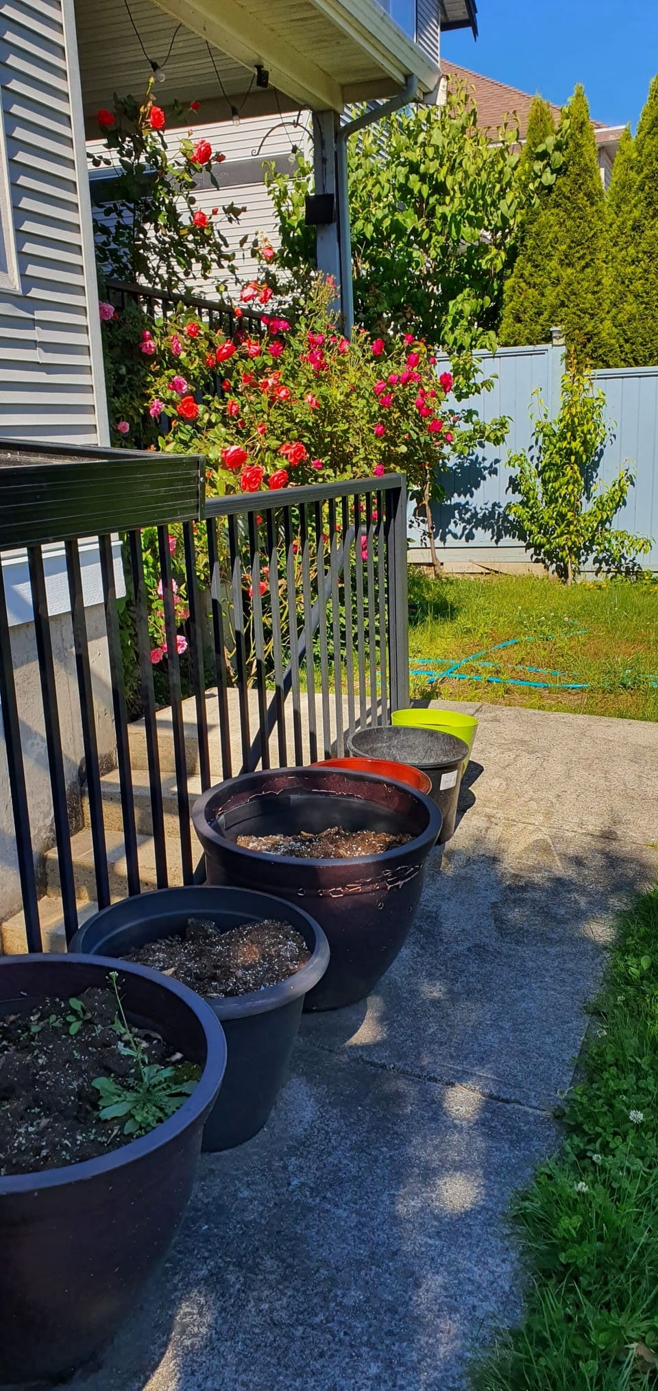 Property grounds