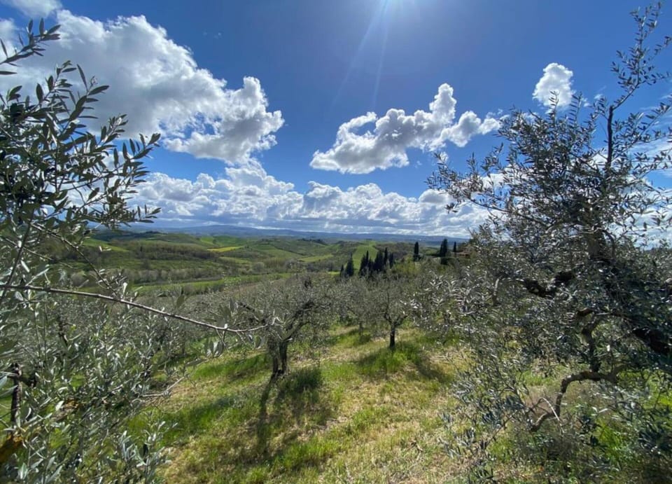 Elite House, 3 Bedrooms | View from property