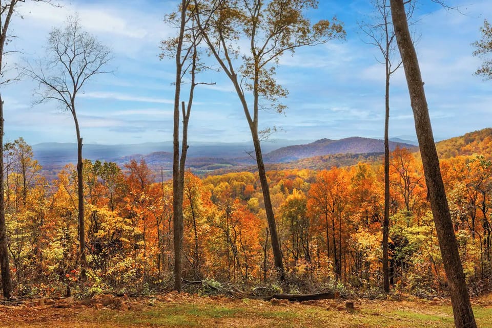 Enjoy a stunning view of the mountains from nearly every room in the house!